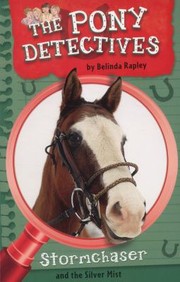 Front cover of Stormchaser and the Silver Mist by Belinda Rapley