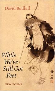 Cover of While we've still got feet by David Budbill