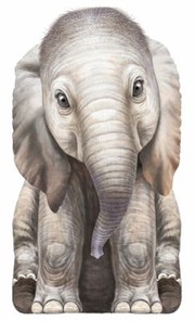Cover of Little Elephant by L. Rigo