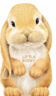 Front cover of Little Bunny
            
                Look at Me Books Barrons by L. Rigo