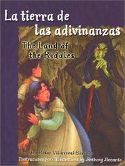 Front cover of The land of the riddles by César Villarreal Elizondo
