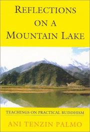 Front cover of Reflections on a mountain lake by Tenzin Palmo
