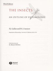 Front cover of INSECTS: AN OUTLINE OF ENTOMOLOGY by PENNY GULLAN