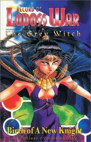 Front cover of Birth of a New Knight (Record of Lodoss War: The Grey Witch, Vol. 2) by 水野良