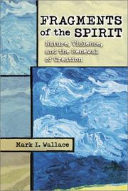 Front cover of Fragments of the Spirit by Mark I. Wallace