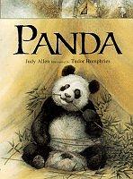 Cover of Panda by Judy Allen