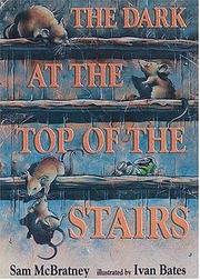 Front cover of The dark at the top of the stairs by Sam McBratney