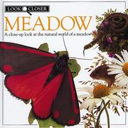 Cover of Meadow by Barbara Taylor