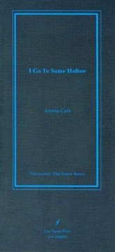Front cover of I Go To Some Hollow by Amina Cain