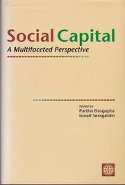 Cover of Social capital a multifaceted perspective by Partha Dasgupta