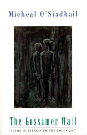 Cover of The gossamer wall by Micheal O'Siadhail