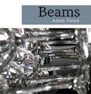 Cover of Book pdf by Blazevox Books