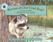 Front cover of Raccoon at Clear Creek Road by Carolyn Otto