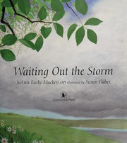 Cover of Waiting out the storm by JoAnn Early Macken