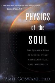 Front cover of Physics of the Soul by Amit Goswami