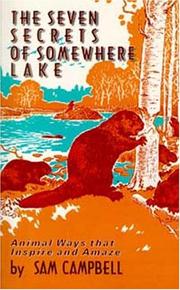 Front cover of The seven secrets of Somewhere Lake by Sam Campbell