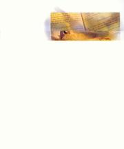 Cover of Greek And Hebrew Tutor Bundle Pack by Unknown