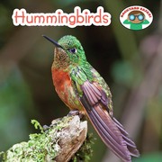 Cover of Hummingbirds by Steven Otfinoski