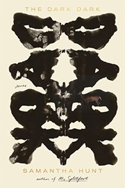Front cover of The Dark Dark: Stories by Samantha Hunt