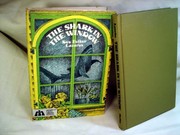 Cover of The shark in the window by Keo Felker Lazarus