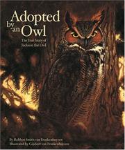 Front cover of Adopted by an Owl by Robbyn Smith van Frankenhuyzen