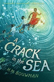 Front cover of A Crack in the Sea by H. M. Bouwman