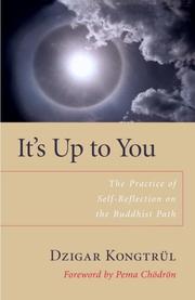Front cover of It's up to You by Dzigar Kongtrul