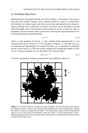 Front cover of Biophysical Chemistry of Fractal Structures and Processes in Environmental Systems by Nicola Senesi