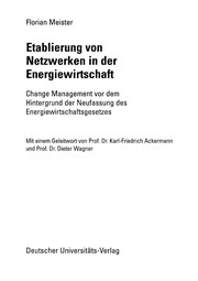 Front cover of Etablierung von Netzwerken in der Energiewirtschaft by Florian Meister