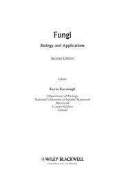 Front cover of Molecular identification of fungi by Youssuf Gherbawy