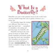 Front cover of How do caterpillars become butterflies? by Darice Bailer