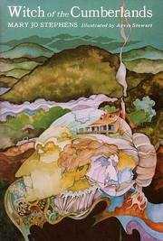 Front cover of Witch of the Cumberlands by Mary Jo Stephens