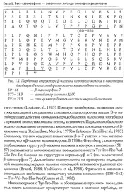 Front cover of Beta-kazomorfiny i ikh rolʹ v reguli͡at͡sii povedenii͡a by Vi͡acheslav Alʹbertovich Dubynin