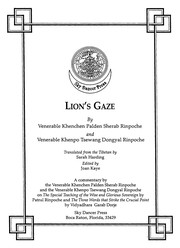 Cover of Lion's gaze by Sherab