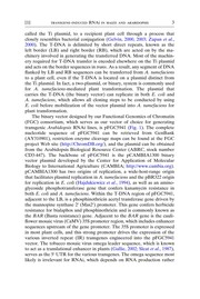 Front cover of Non-natural amino acids by Tom W. Muir