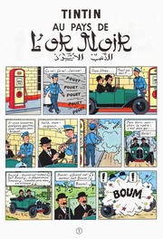 Front cover of Tintin au pays de l'or noir by Hergé