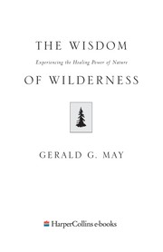 Front cover of The wisdom of wilderness by Gerald G. May