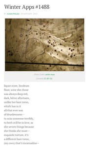 Front cover of Apparition Poem #1488 by Adam Fieled