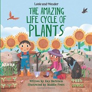 Front cover of The Amazing Life Cycle of Plants by Kay Barnham