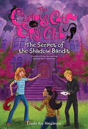 Front cover of The Secret of the Shadow Bandit by Linda Joy Singleton