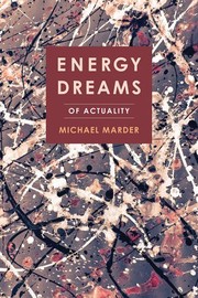 Cover of Energy Dreams by Michael Marder