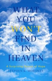 Cover of What You WON'T Find in Heaven by Stephen K. Moroney
