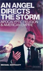 Front cover of An angel directs the storm by Michael S. Northcott