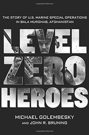 Cover of Level zero heroes by Michael Golembesky