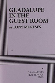 Front cover of Guadalupe in the Guest Room by Tony Meneses