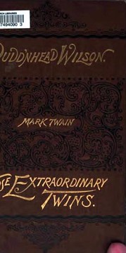 Front cover of Novels (Pudd'nhead Wilson / Those Extraordinary Twins) by Mark Twain