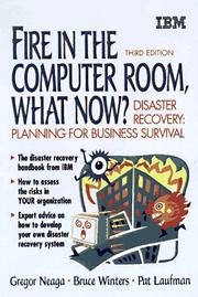 Front cover of Fire in the computer room, what now? by Gregor Neaga