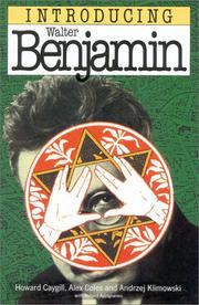 Cover of Introducing Walter Benjamin by Howard Caygill