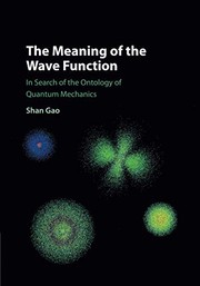 Front cover of The Meaning of the Wave Function by Shan Gao