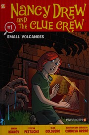 Cover of Small volcanoes by Sarah Kinney